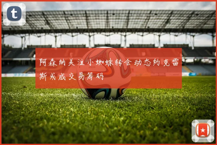 阿森纳关注小蜘蛛转会动态约克雷斯或成交易筹码